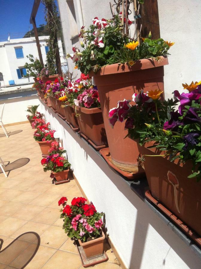 B&B Celestina Ischia Lacco Ameno  Екстер'єр фото