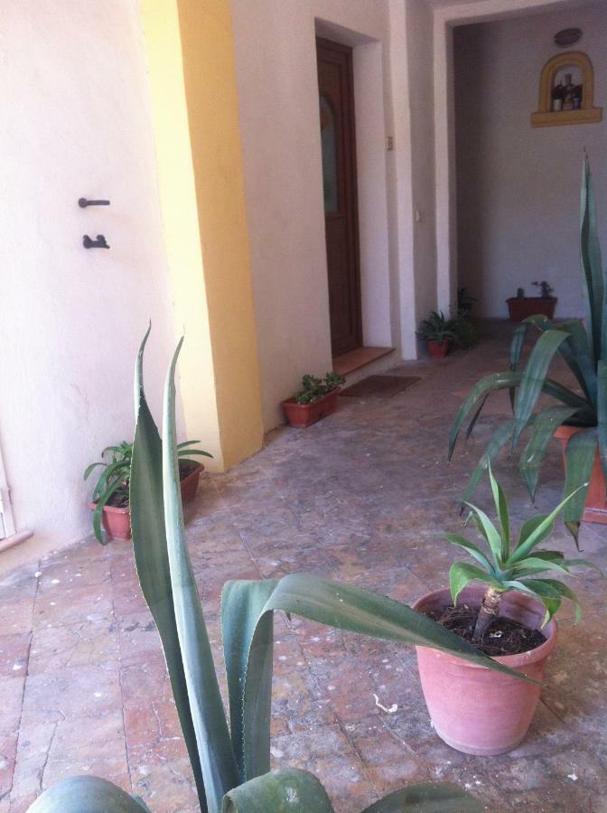 B&B Celestina Ischia Lacco Ameno  Екстер'єр фото