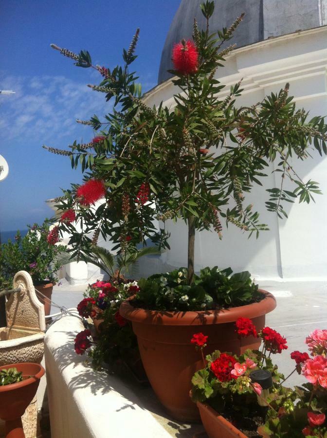 B&B Celestina Ischia Lacco Ameno  Екстер'єр фото
